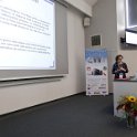 IMG_8247 IMG_8247