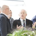 IMG_8217 IMG_8217